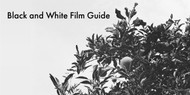Black and White Film Guide